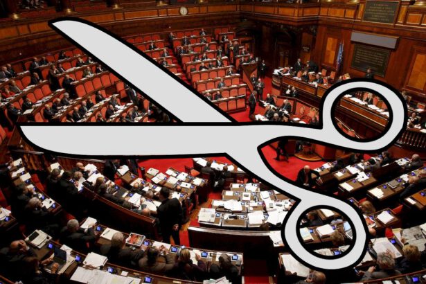 Referendum costituzionale, perché non è un taglio alla democrazia 15