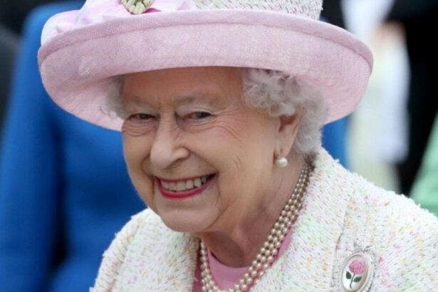 La Regina Elisabetta vende il suo gin per pagare i debiti di palazzo 15