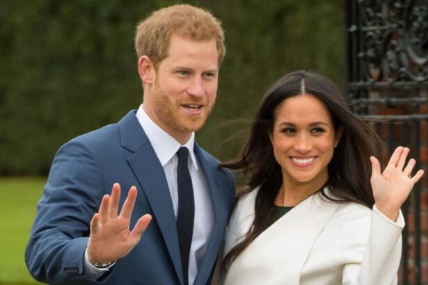 Harry e Meghan lasciano la famiglia reale: "Vogliamo lavorare" 15