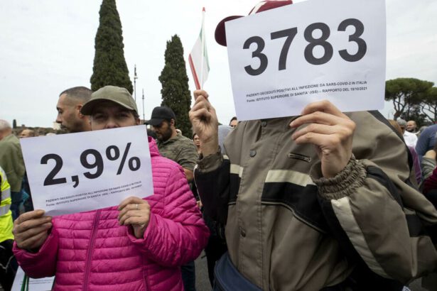 Bufera sul report dell'Iss: “Non è vero che solo 2,9% dei morti è dovuto al Covid” 7