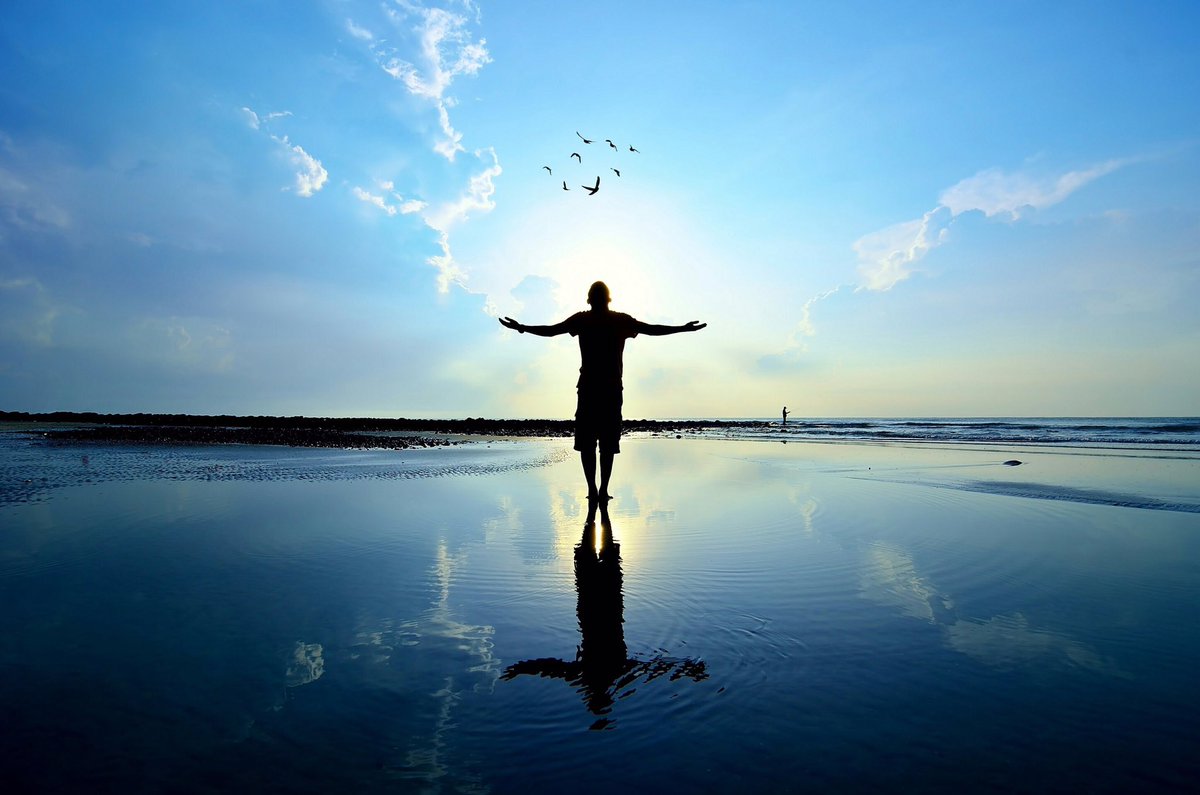 Cos'è la resilienza, la capacità di ricominciare 1