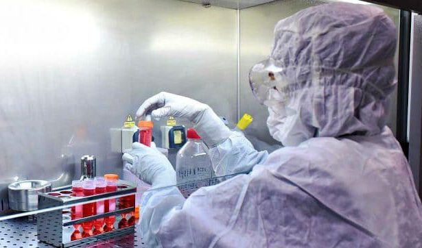 Staminali "super efficienti" contro il virus, la scoperta dell'ultimo studio italiano 13