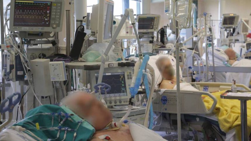 Aumento dei ricoveri in terapia intensiva: 7 su 10 sono no vax 1