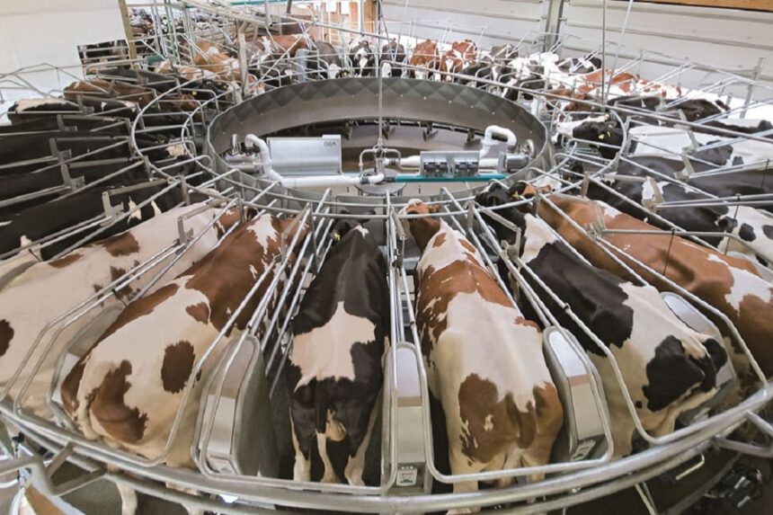 Il latte vegetale è bene di lusso, quello vaccino no: ecco come la politica ostacola le scelte sostenibili 1