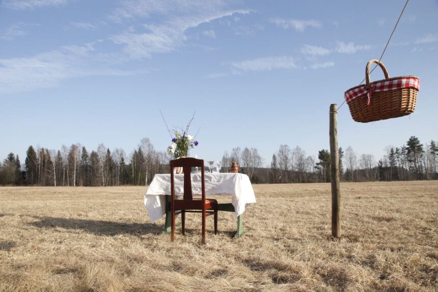 In Svezia, aperto il primo ristorante "per uno". Un tavolo e una sedia in mezzo a un campo 1