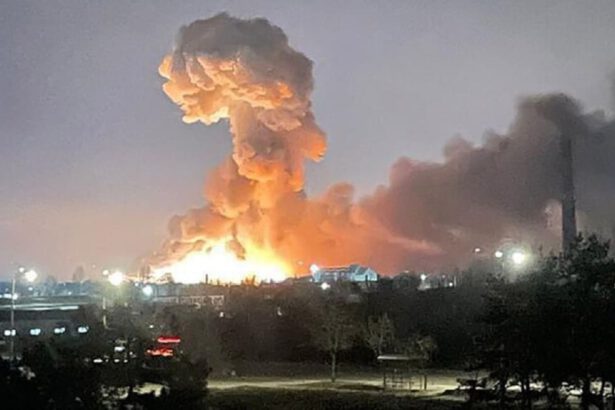 Guerra Russia-Ucraina: Putin ha invaso consapevole di non essere ostacolato dalla NATO 21