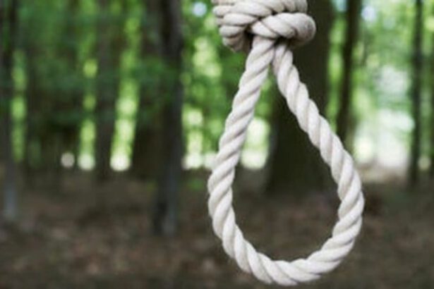 Esiste una legge per salvarsi dai debiti. Ecco come funziona 42