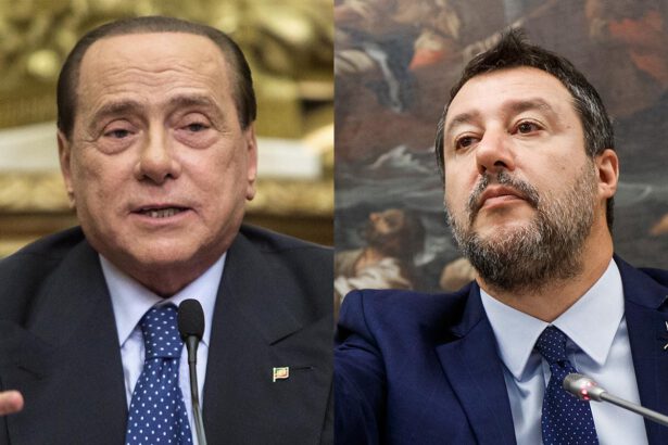 Quirinale, Salvini gela Berlusconi e pensa al piano B: "In arrivo la nostra proposta" 22