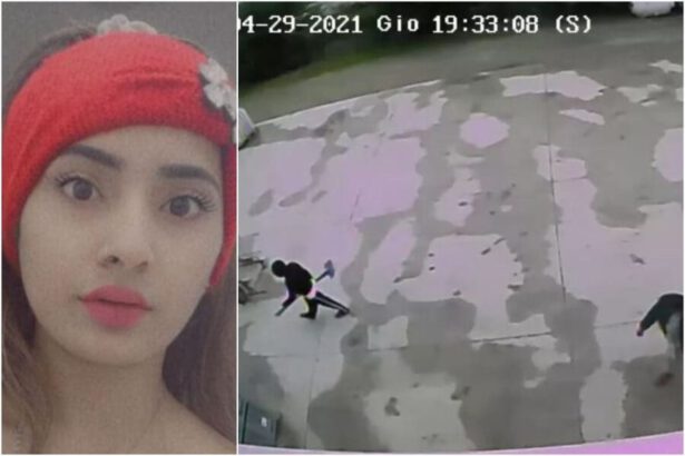 Omicidio di Saman Abbas, il procuratore Isabella Chiesi: "Stiamo cercando il corpo" 14