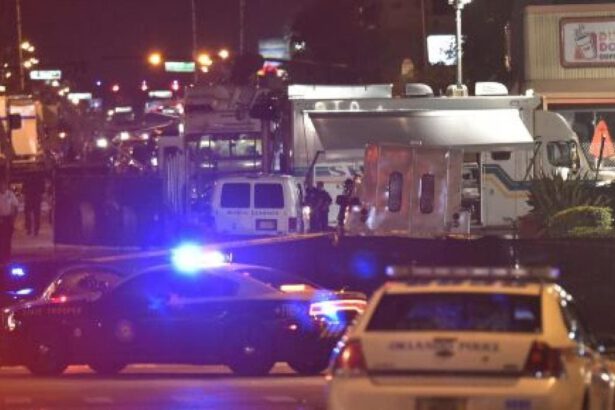 Nella notte di Halloween un ragazzo travestito da samurai estrae la spada e uccide 2 persone 19