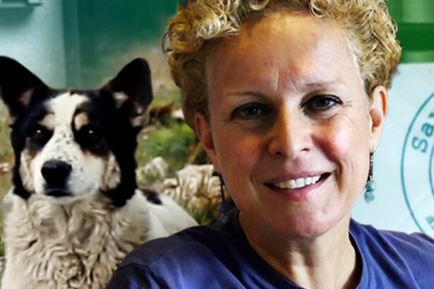 Sara Turetta, dall'Italia alla Romania: spendere la vita per salvare i cani randagi 14