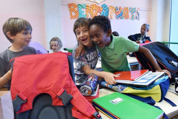 Ius culturae, 132mila bambini stranieri diventerebbero italiani 5