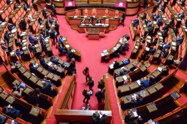 Ddl Zan, continua la discussione al Senato: respinta la proposta di sospensiva della destra 18