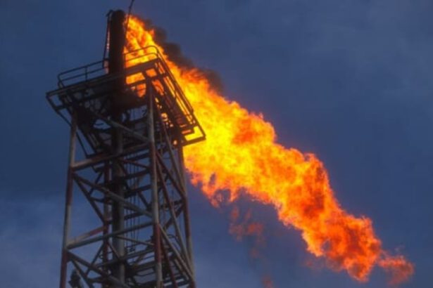 Sentenza storica: il colosso Shell dovrà dimezzare le emissioni di carbonio entro il 2030 9