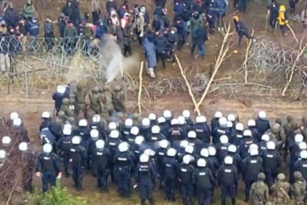 Sfondata recinzione tra Polonia e Bielorussia, 50 arresti. Varsavia: "Temiamo escalation armata" 19