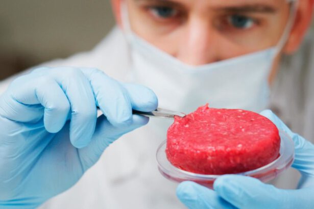 Al ristorante si ordina carne sintetica. L'ultima da Singapore, ma l'Italia dice no 16