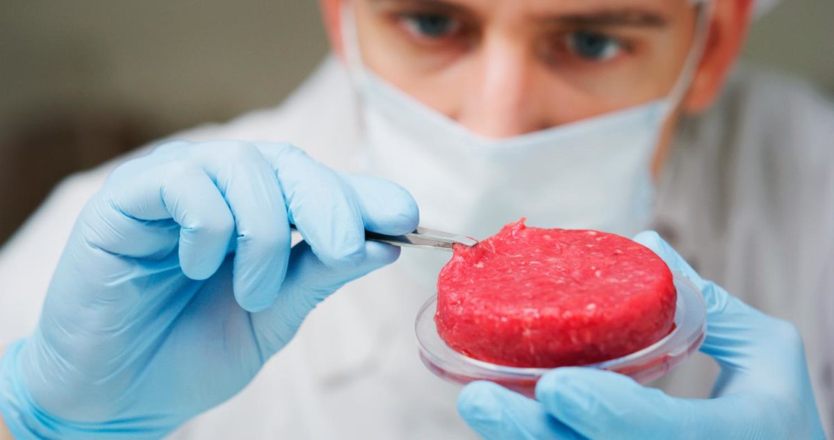 Al ristorante si ordina carne sintetica. L'ultima da Singapore, ma l'Italia dice no 11