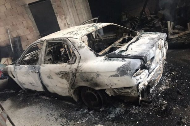 Siderno, ancora un atto intimidatorio contro il Comune, la sindaca: "Siamo sotto attacco" 34