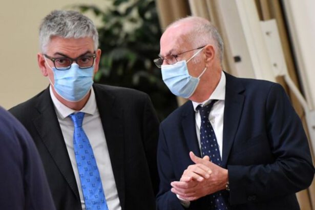 Brusaferro: "Possibile reinfettarsi con Omicron". Rezza: "Fase nuova, ma numeri alti" 9