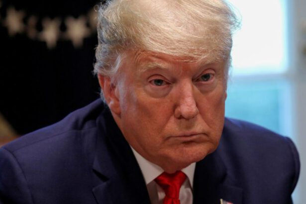 Covid, Trump suggerisce la cura: "Raggi UV e disinfettanti nei polmoni" 16