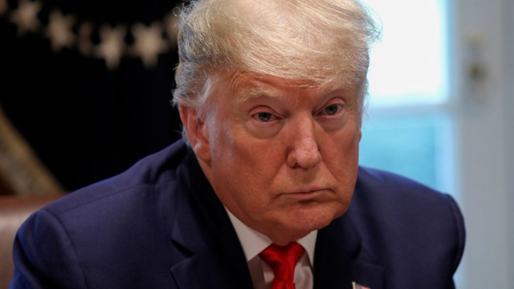 Covid, Trump suggerisce la cura: "Raggi UV e disinfettanti nei polmoni" 11