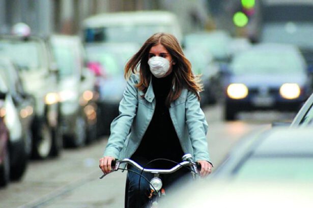 2019 anno nero per l’inquinamento dell’aria. Legambiente: "I cittadini devono saperlo" 87