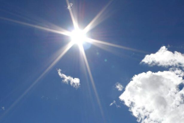 Da Oxford su Covid: "Il sole uccide il virus in pochi minuti" 10