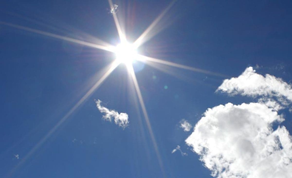 Da Oxford su Covid: "Il sole uccide il virus in pochi minuti" 15