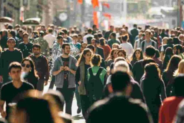 10,8 miliardi di persone entro il 2100: come affrontare la sovrappopolazione? 13