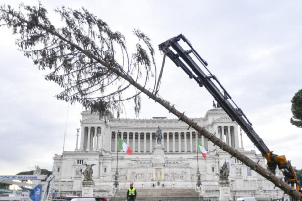 Vi ricordate Spelacchio? Dimenticatelo, sarà Netflix a fare l'albero di Natale a Roma 9