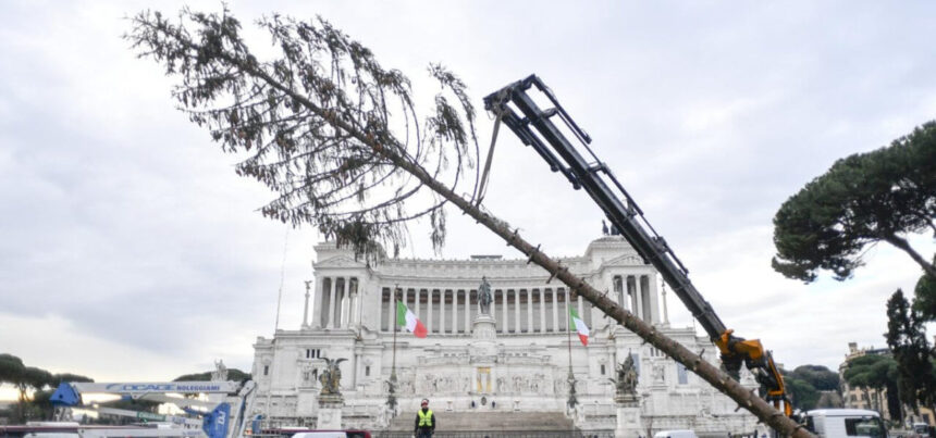 Vi ricordate Spelacchio? Dimenticatelo, sarà Netflix a fare l'albero di Natale a Roma 1