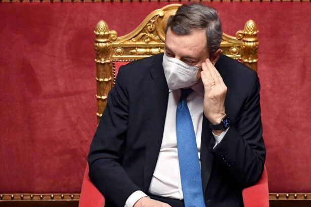 Decreto Ucraina: in aula 35 parlamentari contrari. Quali le ragioni di tale dissenso? 8