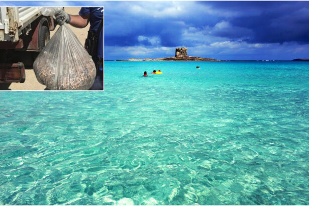 Raccolti 20.000 mozziconi di sigaretta sulla spiaggia più bella della Sardegna 5