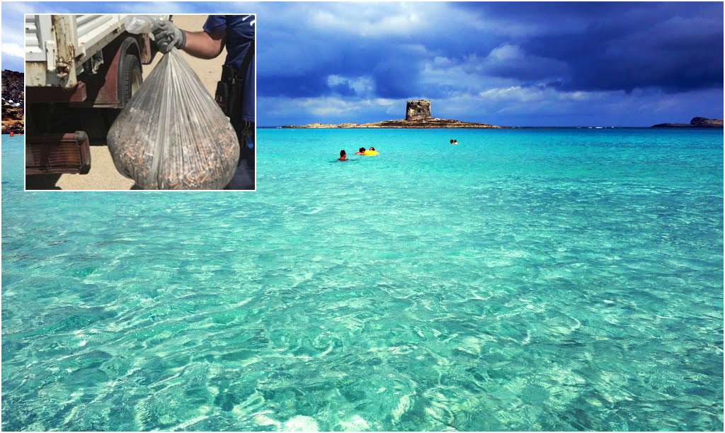 Raccolti 20.000 mozziconi di sigaretta sulla spiaggia più bella della Sardegna 17
