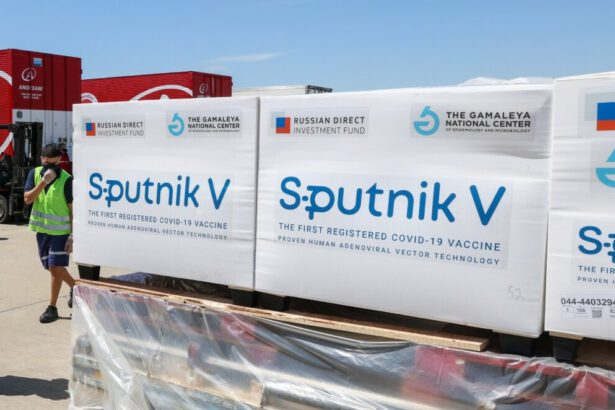 Arriva in Italia il vaccino russo Sputnik V: 10 milioni di dosi entro la fine dell'anno 13