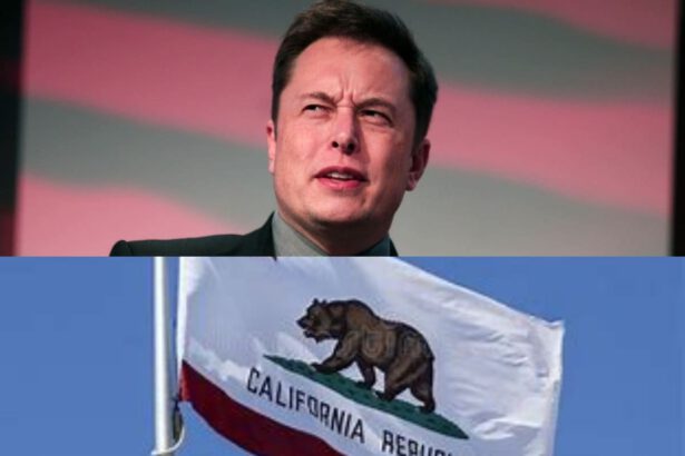 Problemi per Elon Musk: la California fa causa a Tesla per discriminazione razziale 13