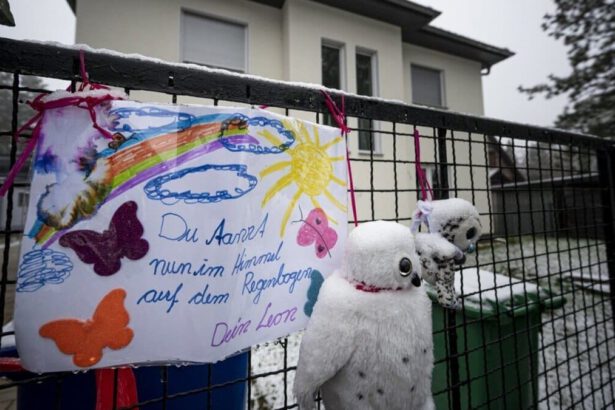 Brandeburgo, stermina la famiglia poi si suicida: aveva falsificato il Green Pass e temeva di perdere i figli 18