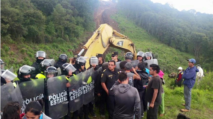 Ambiente, strage di attivisti nel 2020: uccisi quattro a settimana 1