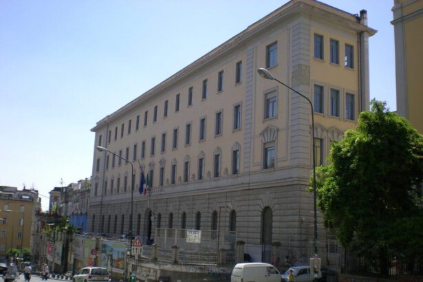 Napoli, negato a studente trans l'ingresso nel bagno maschile: i compagni scioperano per lui 9