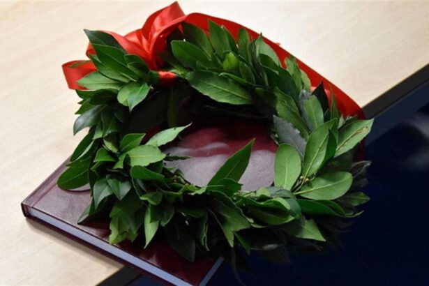 Suicidi tra studenti universitari: perché lo studio può diventare un inferno 21