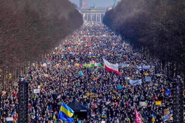 La guerra di tutti: ecco come possiamo supportare l'Ucraina 9