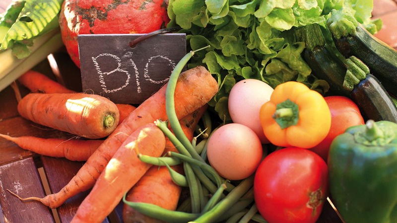 Svolta green, con la pandemia un italiano su 4 sceglie la sostenibilità 3 svolta green