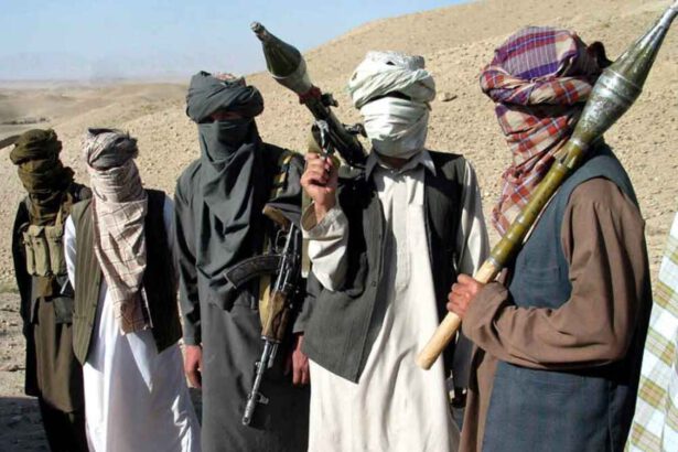 Talebani: "Stop a droga e terrorismo, tuteleremo le donne". 2 milioni di profughi in arrivo in Europa 15