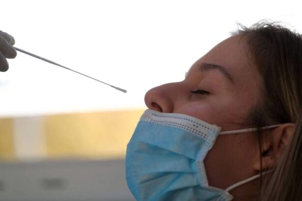 Arriva in Italia il kit per il tampone fai da te: sarà disponibile in farmacie e supermercati 19