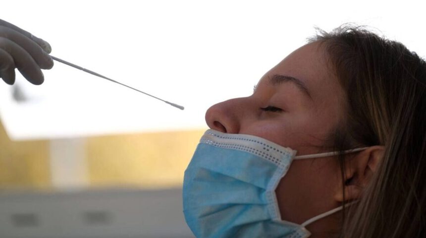 Arriva in Italia il kit per il tampone fai da te: sarà disponibile in farmacie e supermercati 1