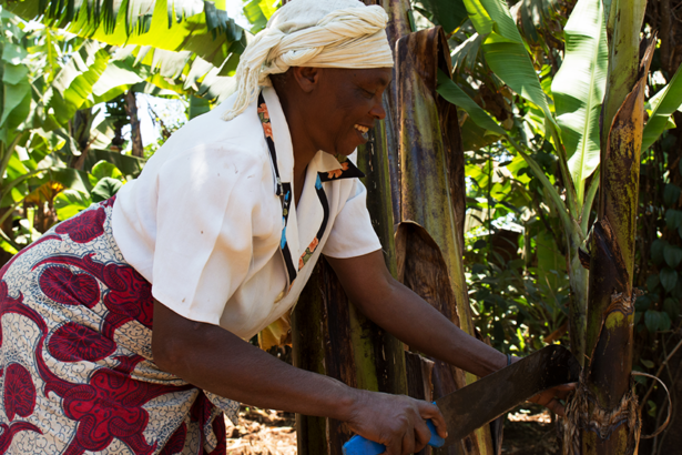 Treedom, la start up che pianta alberi per il Pianeta con il tuo aiuto 9