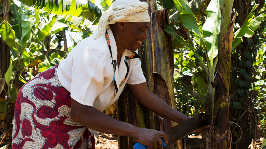 Treedom, la start up che pianta alberi per il Pianeta con il tuo aiuto 2 Treedom, la start up che pianta alberi per il Pianeta con il tuo aiuto 1