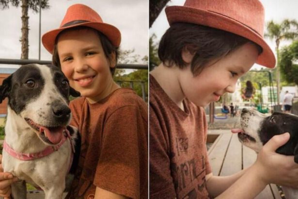 Thiago, l'11enne che ogni sabato fa il bagno ai randagi per aiutarli a essere adottati 18