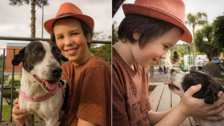 Thiago, l'11enne che ogni sabato fa il bagno ai randagi per aiutarli a essere adottati 2 Thiago, l'11enne che ogni sabato fa il bagno ai randagi per aiutarli a essere adottati 1