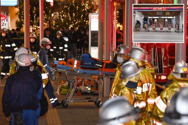 Halloween shock a Tokyo: uomo vestito da Joker ferisce 17 persone su un treno 13